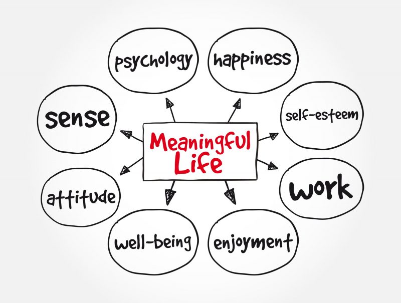 Diagram showing areas required for a meaningful life such as sense, attitude, and self-awareness