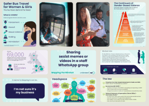 VAWG Pilot Training Materials